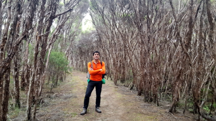 Hiking to Mason Bay